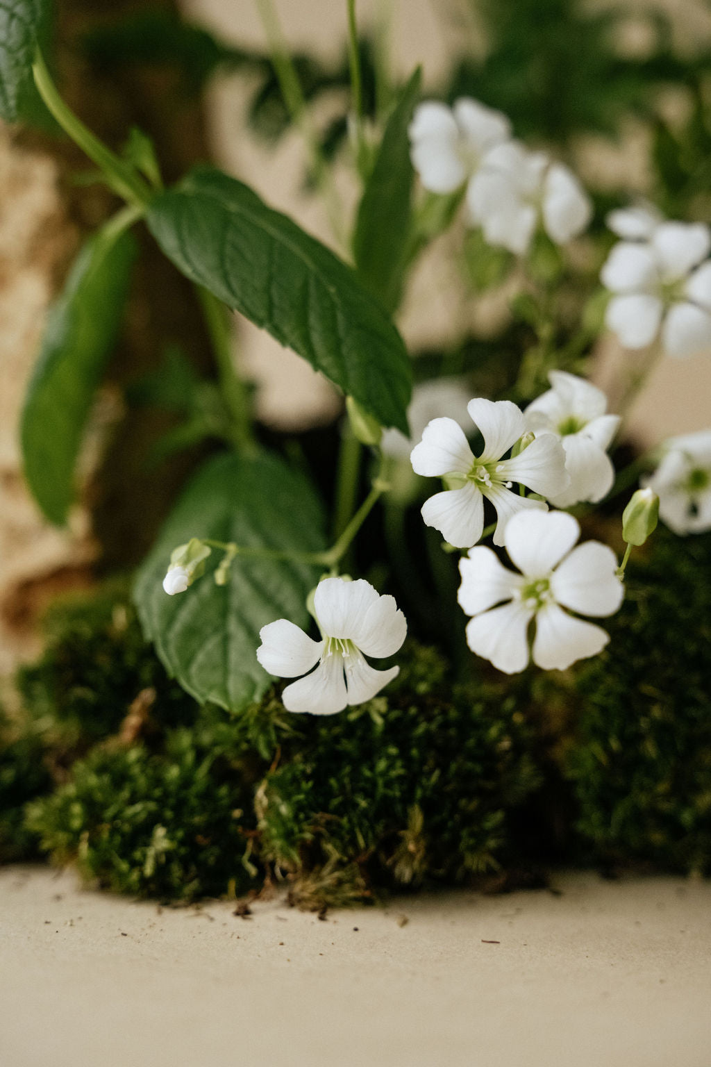 Les rituels du soir pour des enfants sereins